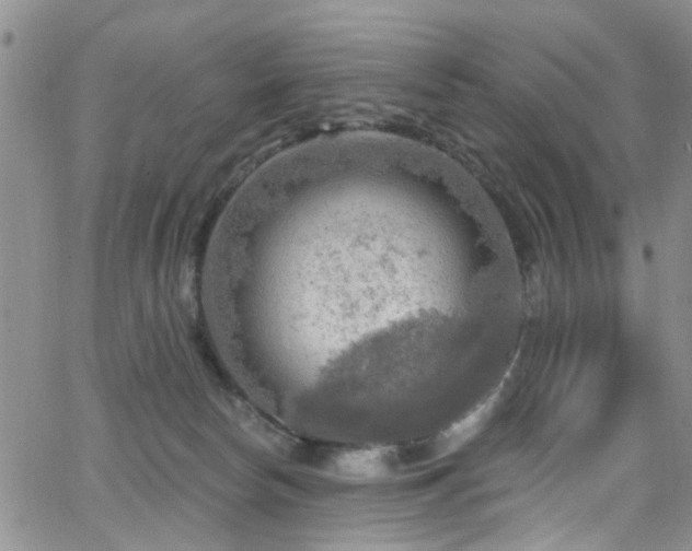 X0000063530178200601201507