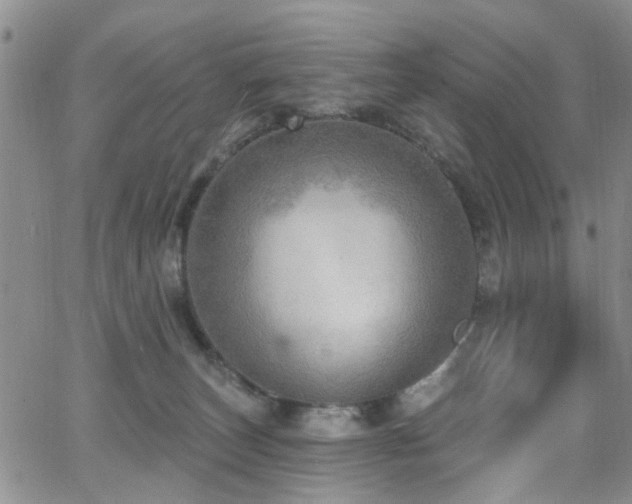 X0000063530179200601201507