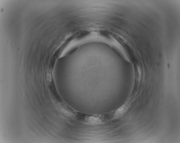 X0000063530180200601201507