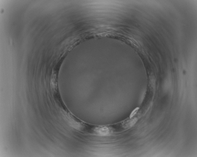 X0000063530181200601201507