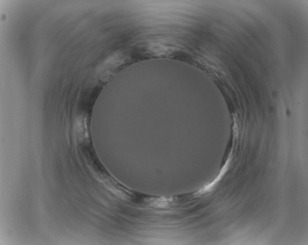 X0000063530182200601201507