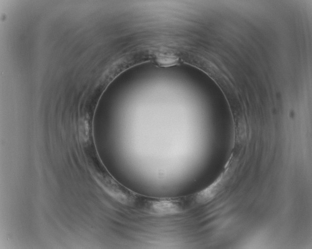 X0000063530183200601201507