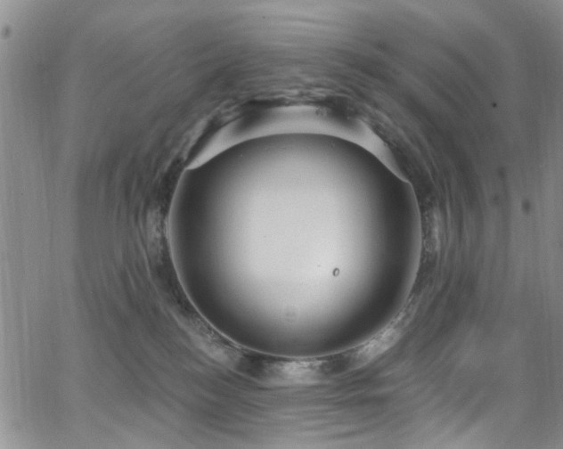 X0000063530184200601201507