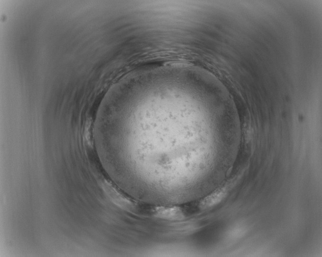 X0000063530185200601201507