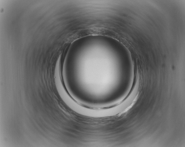 X0000063530186200601201507