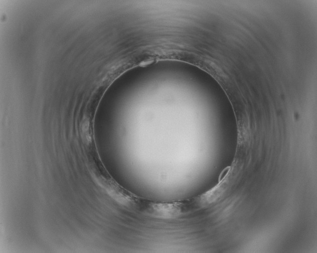 X0000063530187200601201507