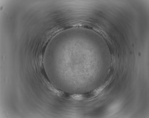 X0000063530189200601201507