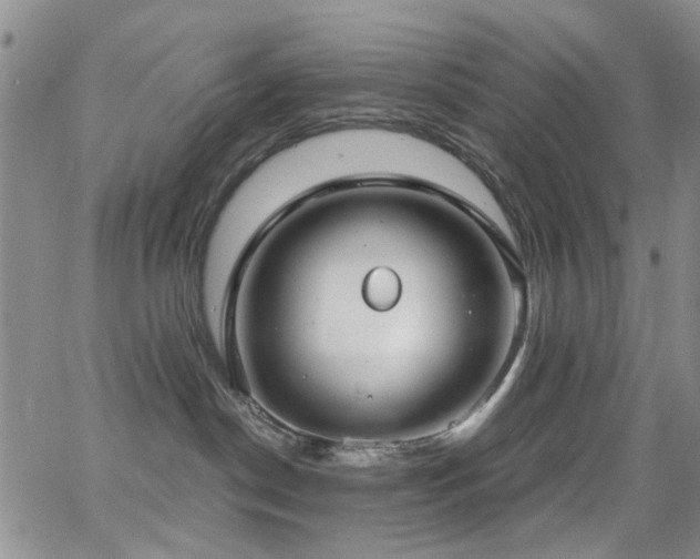 X0000063530190200601201507