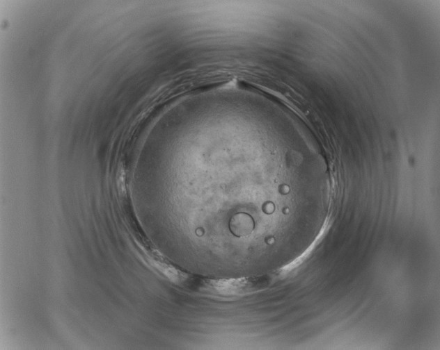 X0000063530191200601201507