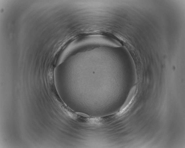 X0000063530192200601201507