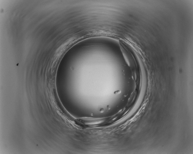 X0000063530193200601201507