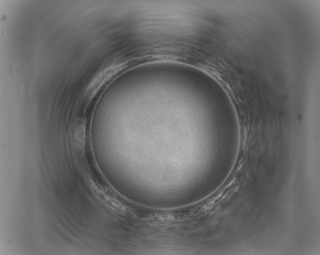 X0000063530194200601201507