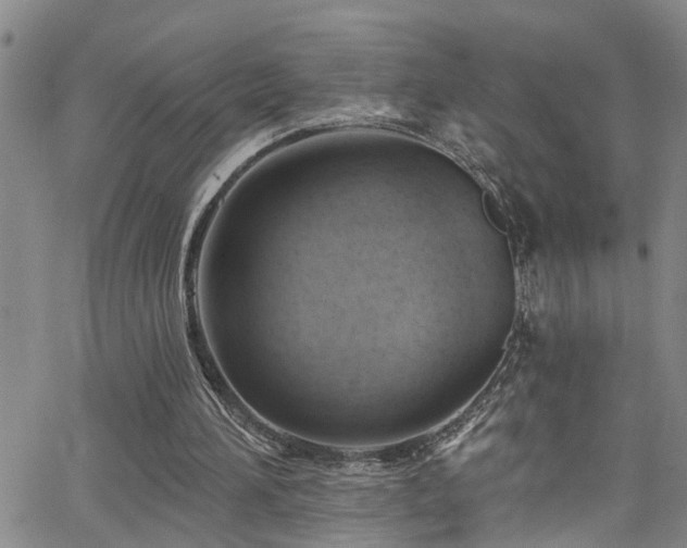 X0000063530196200601201507