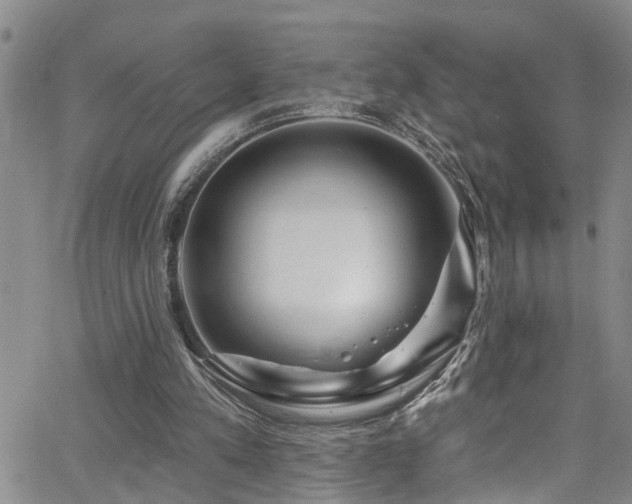 X0000063530197200601201507