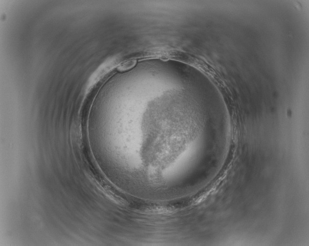 X0000063530198200601201507