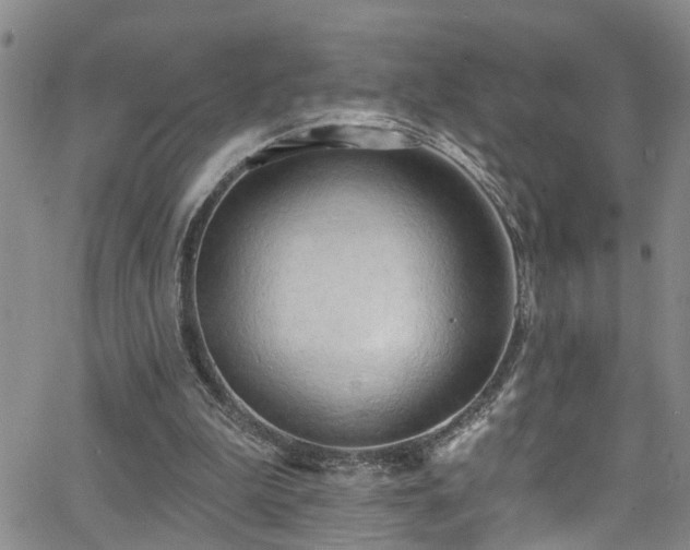 X0000063530199200601201507