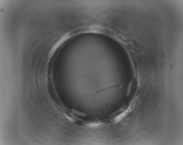 X0000063530200200601201506