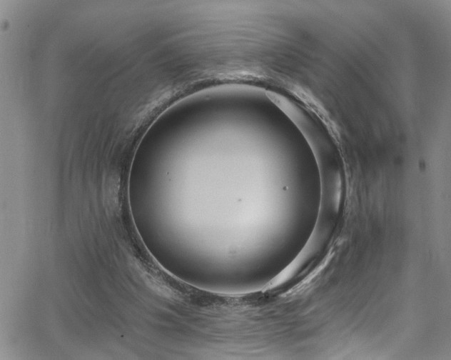 X0000063530201200601201506