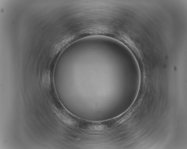 X0000063530202200601201506