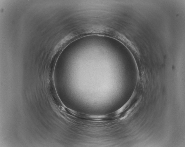 X0000063530203200601201506