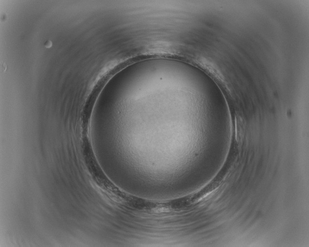 X0000063530204200601201506