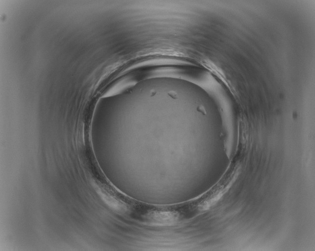 X0000063530205200601201506