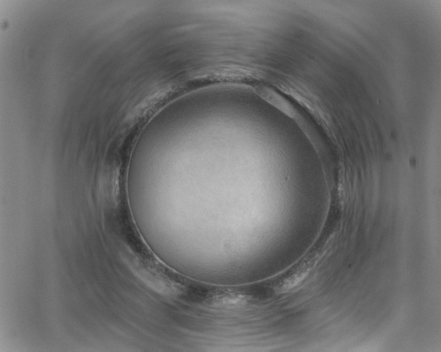 X0000063530206200601201506