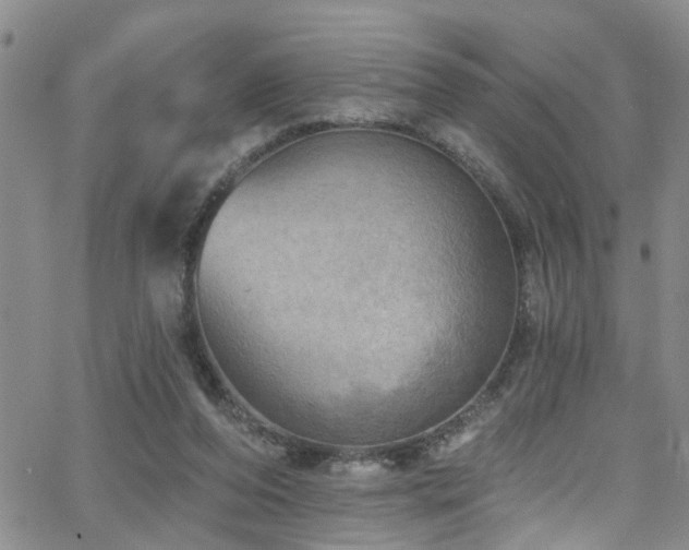 X0000063530208200601201506