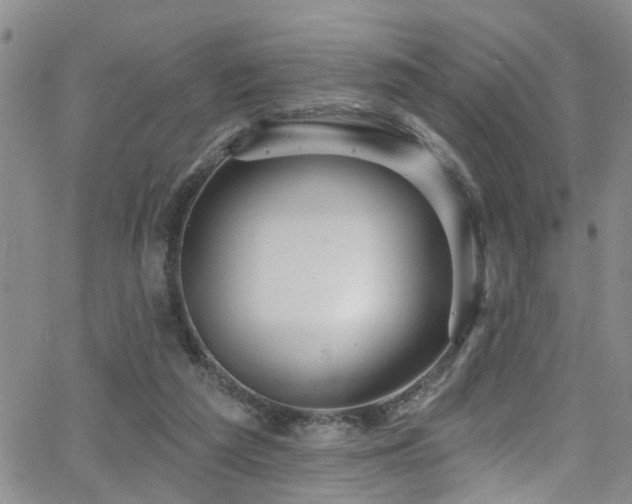 X0000063530209200601201506