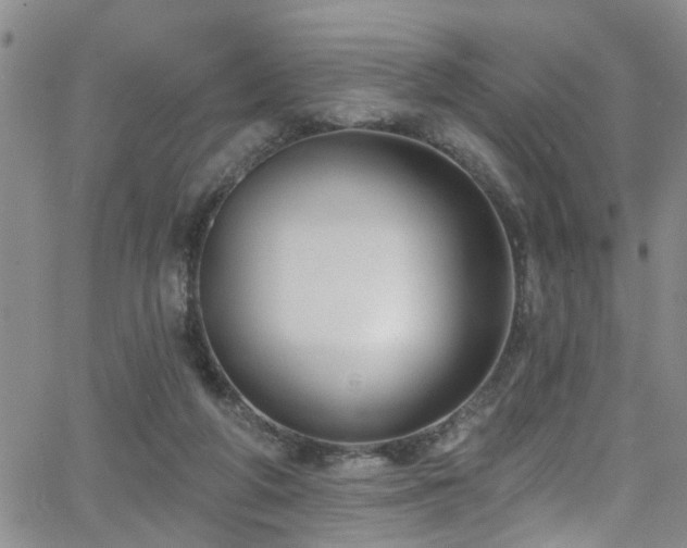 X0000063530210200601201506