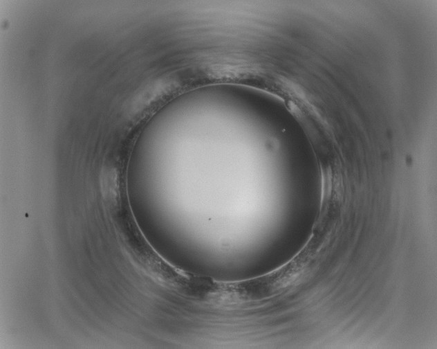 X0000063530211200601201506