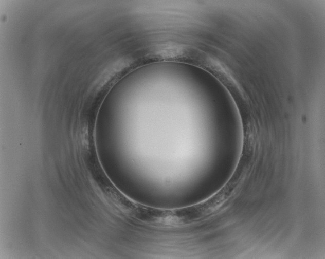 X0000063530212200601201506