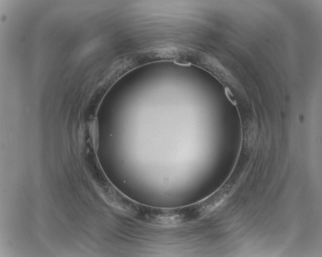 X0000063530213200601201506