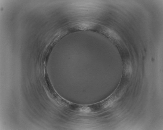 X0000063530214200601201506