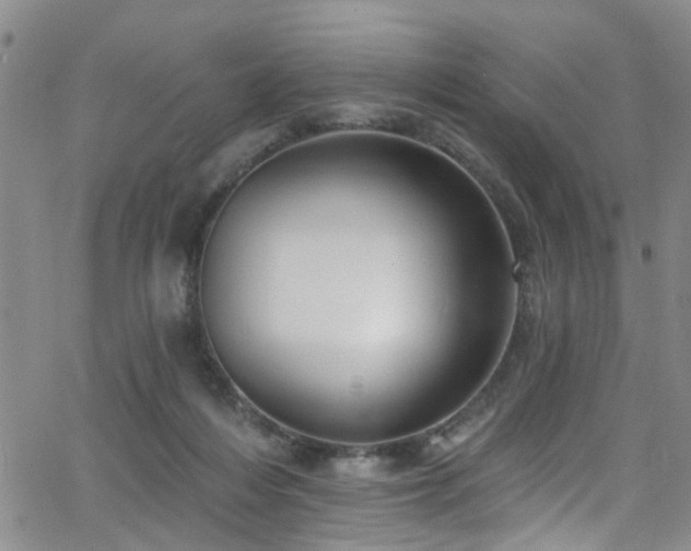 X0000063530216200601201506