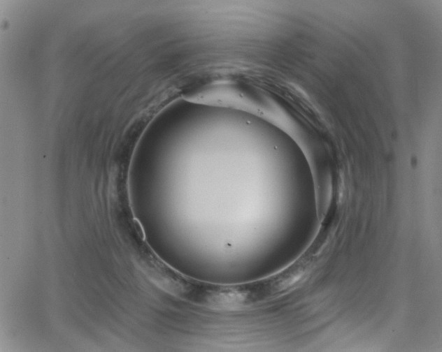 X0000063530217200601201506