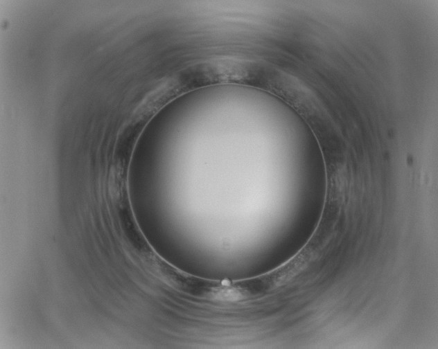 X0000063530218200601201506