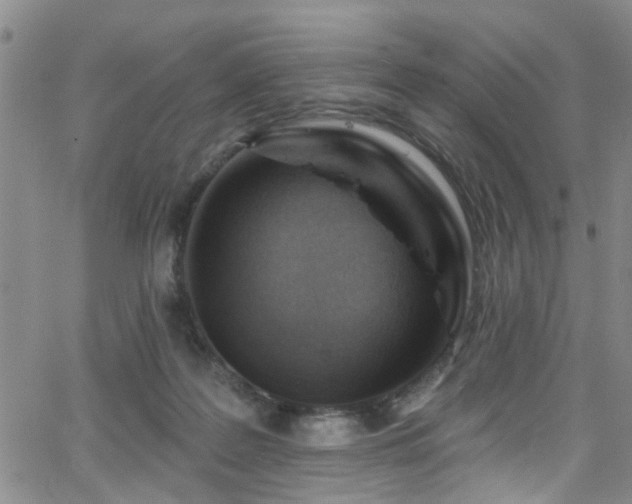 X0000063530219200601201506