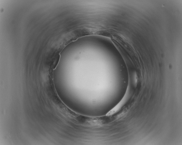 X0000063530221200601201506