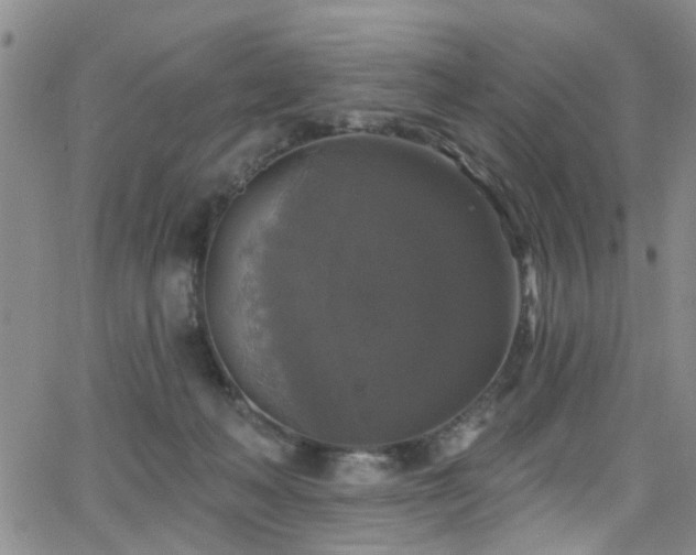 X0000063530222200601201506