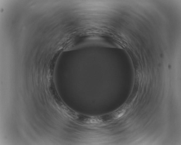 X0000063530223200601201506