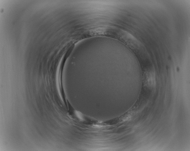 X0000063530224200601201506