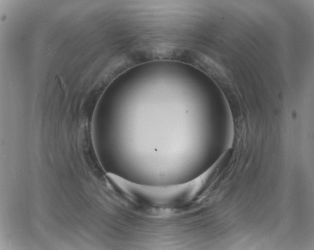 X0000063530225200601201506