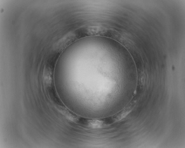 X0000063530226200601201506