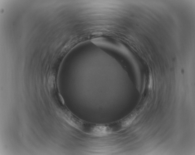 X0000063530227200601201506