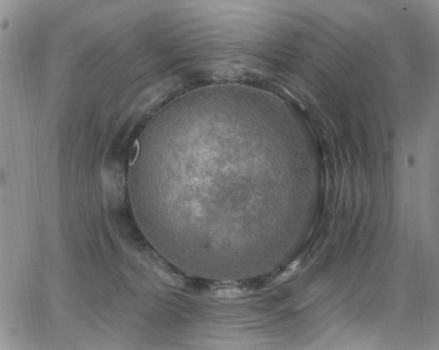 X0000063530228200601201506