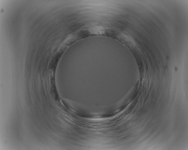 X0000063530229200601201506