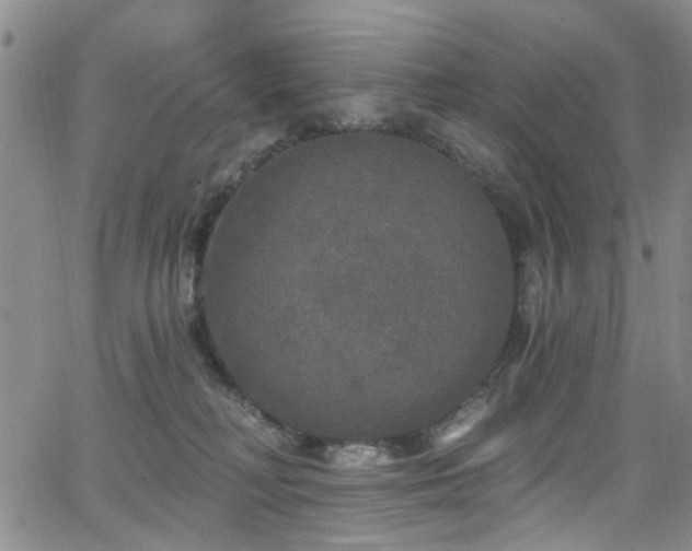 X0000063530230200601201506