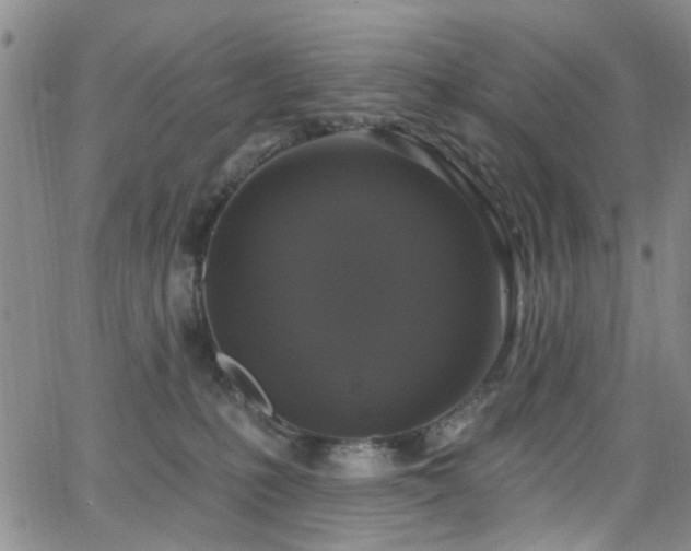 X0000063530231200601201506