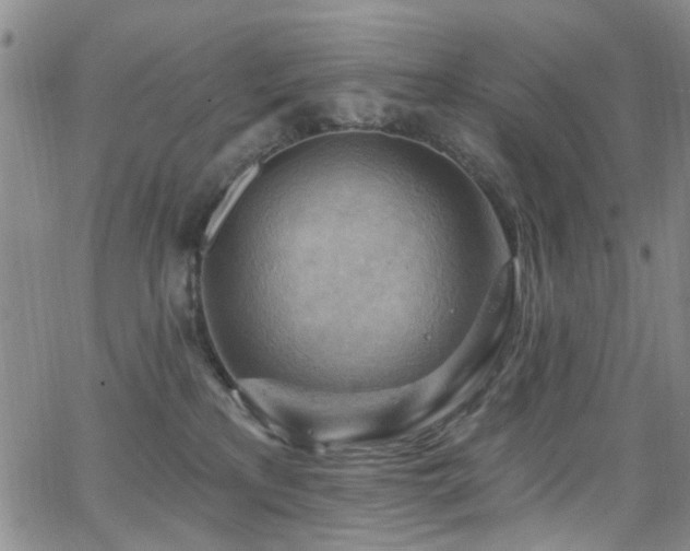 X0000063530233200601201506